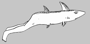 Вариант изображения человека-акулы у жителей Соломоновых островов